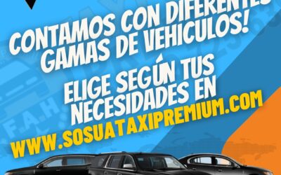 Full Experience: Enjoy a tour with Taxi Sosua Premium throughout Puerto Plata