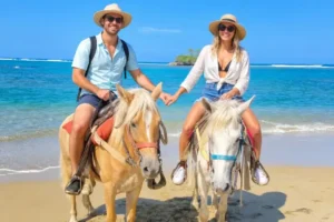 Horseback Riding Tour